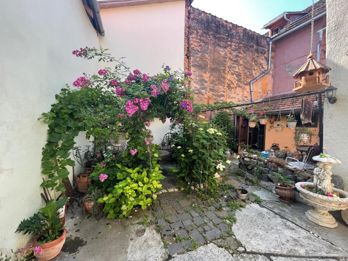 Appartement Casa Morar à Sighişoara Extérieur photo